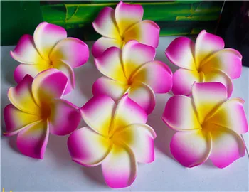 100 vnt 6cm 9 spalvas galima maišyti spalvos Putų Frangipani Gėlė, nr. įrašą Havajų Plumeria žiedų, plaukų aksesuarų moterims