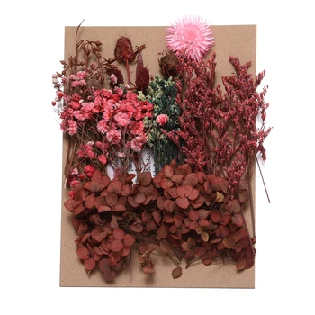1Box Atsitiktiniai Mišrios sausos Gėlės, konservuoti šviežių gėlių Meno rėmo žvakė amatų priėmimo Epoksidinės Pelėsių PASIDARYK pats Apdailos Reikmenys