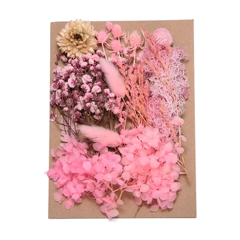 1Box Atsitiktiniai Mišrios sausos Gėlės, konservuoti šviežių gėlių Meno rėmo žvakė amatų priėmimo Epoksidinės Pelėsių PASIDARYK pats Apdailos Reikmenys