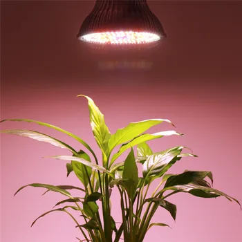 4pcs/daug 120W 100W viso Spektro LED Grow Light E27 LED Lemputės Fitolamp Augalų Patalpų Šiltnamio efektą sukeliančių Hydroponics Palapinė Augimo Lempos