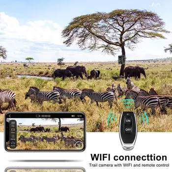 APP Live Rodyti WIFI Takas Kamera Medžioklės Kameros 940nm IR LED WIFI801 24MP 1080P Naktinio Matymo IP66 Lauko Laukinių gyvūnų Priežiūra