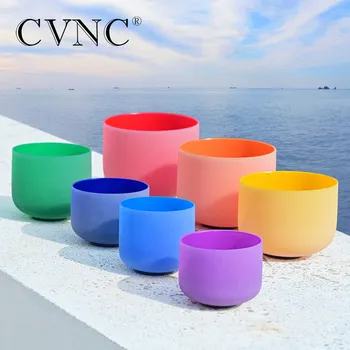 CVNC 6