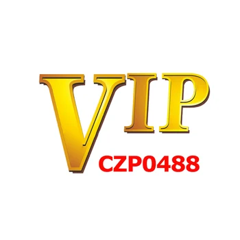 CZP0488 Širdies Užsakymą Nuotrauką Pakabukas, Be Kristalų, Specialus VIP Nuorodą