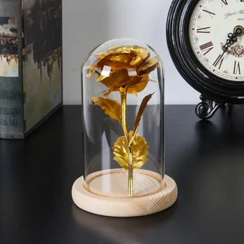 Dalys Stiklai cloche Jar Stendas Dangtelio Ekranas Terariumai Buteliuke su Mediniais Dangtelio Ekrano Lange Nemirtingas Gėlių Dėžutės