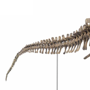 Didelis Dinozauras, Iškastinio Kaukolė Gyvūnų Modelio, Žaislai, Tyrannosaurus Rex Surinkti Skeleto Modelis Patalpų Įrengimui Skirti Dirbiniai, Apdaila