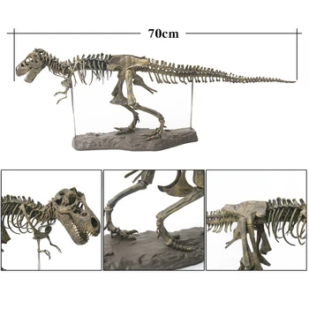 Didelis Dinozauras, Iškastinio Kaukolė Gyvūnų Modelio, Žaislai, Tyrannosaurus Rex Surinkti Skeleto Modelis Patalpų Įrengimui Skirti Dirbiniai, Apdaila