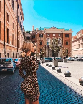 Leopard Suknelė 