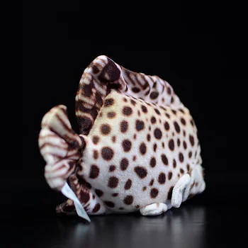 Mielas Tropinių Žuvų Ruda Scatophagus Argus Ornatus Jūrų Gyvybės Pastebėtas Scat Modeliavimas Jūros Gyvūnų Pliušinis Žaislas Vaikams Dovanų Kolekcija