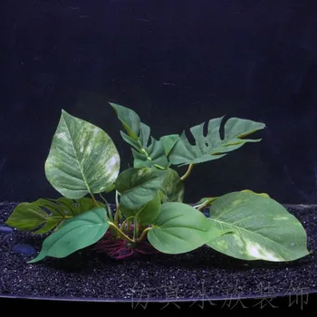Modeliavimo Žolė Augalų Dirbtinio Plastiko Vandens Žolės Žuvų Bakas Akvariumo Dekoracija Vandens Augalų Modeliavimo Augalų Ornamentais