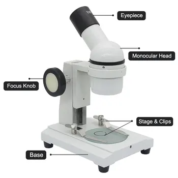 Stereo Mikroskopas, 20X 40X Monokuliariniai Skrodimo Mikroskopu Švietimo Laboratorijoje Mikroskopu IKI Įvaizdį PCB Tikrinimo