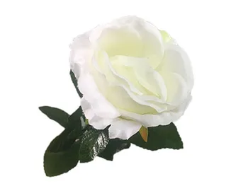 Trijų Spalvų Šviesos Rose (Nuotolinio Valdymo) Magija Gudrybės Spalva Keičiasi Gėlių Magia Etape Vestuves Iliuzijų Gudrybė, Komedija