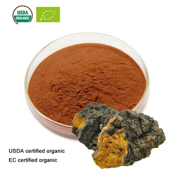 USDA ir EB Sertifikuotų Ekologiškų Chaga grybų ekstrakto 10:1 Polisacharidų