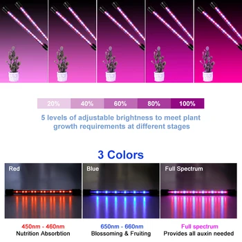 WENNI Augalų Auga LED Full spectrum Patalpų Auginimo Palapines, USB Fito Lempos Šiltnamio efektą sukeliančių LED Augimo Šviesos Daržovių, Gėlių Fitolamp