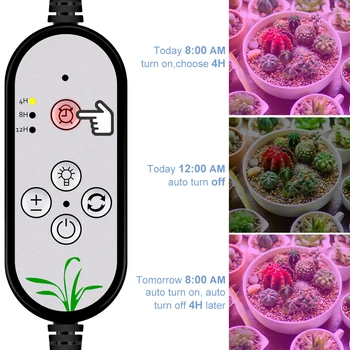 WENNI Augalų Auga LED Full spectrum Patalpų Auginimo Palapines, USB Fito Lempos Šiltnamio efektą sukeliančių LED Augimo Šviesos Daržovių, Gėlių Fitolamp